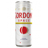 Gordon s Space