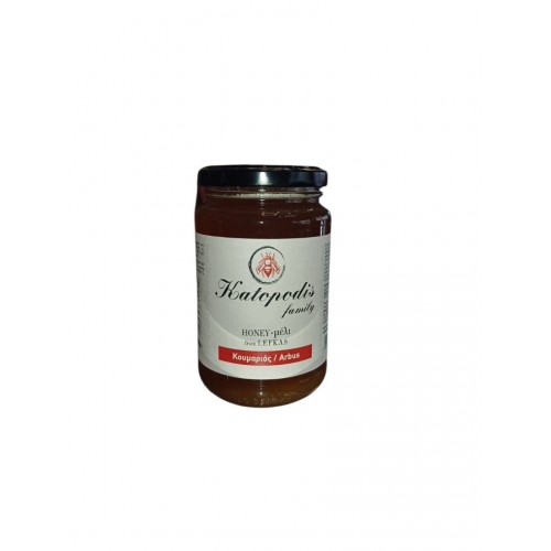 Katopodis Family Λευκάδας Μέλι Κουμαριάς 450gr