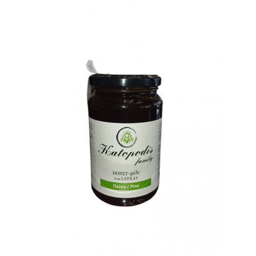 Katopodis Family Λευκάδας Μέλι Ελάτης 950gr