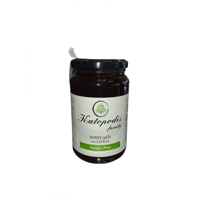 Katopodis Family Λευκάδας Μέλι Ελάτης 950gr