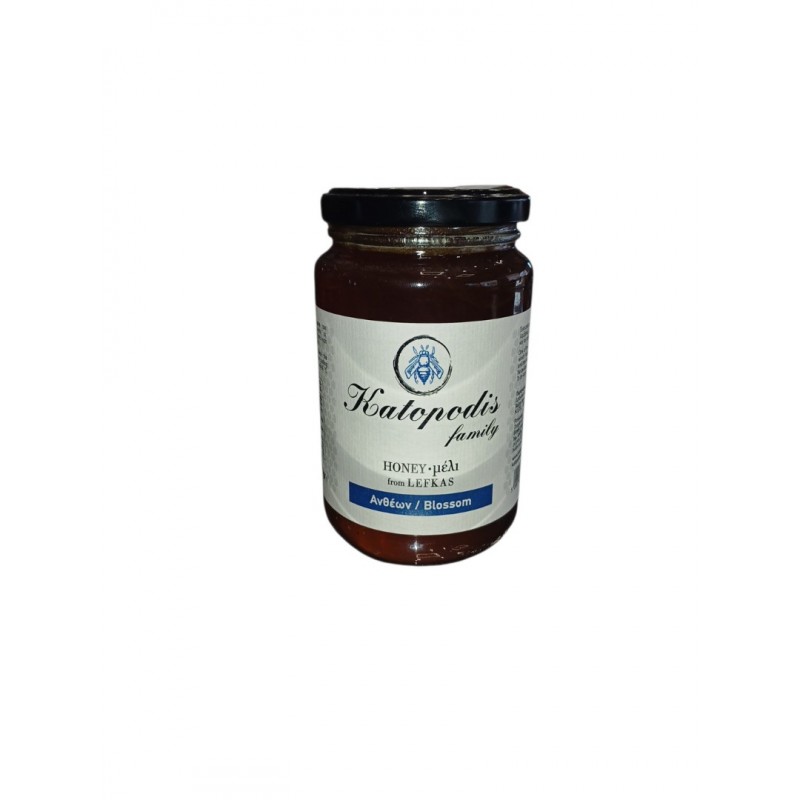 Katopodis Family Λευκάδας Μέλι Ανθέων 950gr