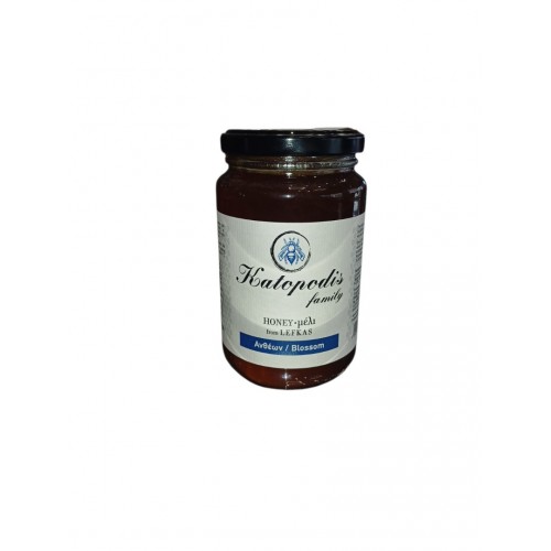 Katopodis Family Λευκάδας Μέλι Ανθέων 450gr